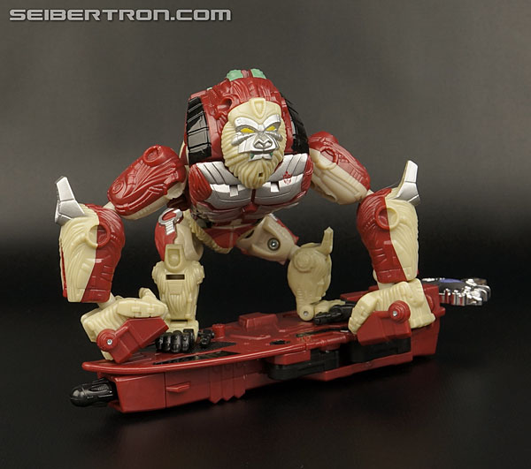 Transformers News: New Galleries: BotCon 2014 Knights Alpha Trizer, Flareup, Apelinq and Custom Class Primal Prime Transformers News: New Galleries: BotCon 2014 Knights Alpha Trizer, Flareup, Apelinq and Custom Class Primal Prime
