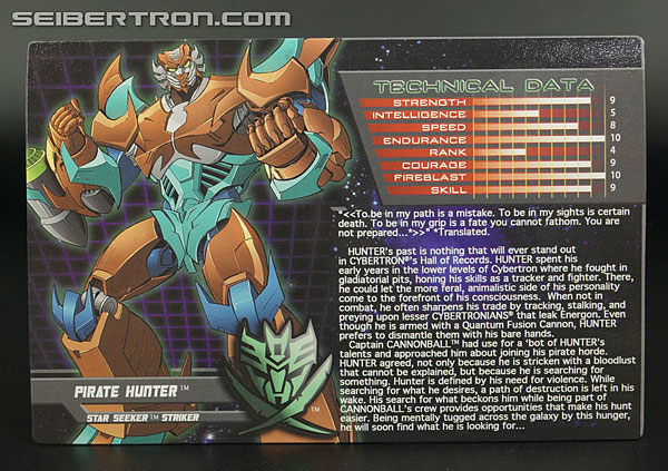 Transformers News: New Galleries: BotCon 2014 Pirate Brimstone and Pirate Hunter