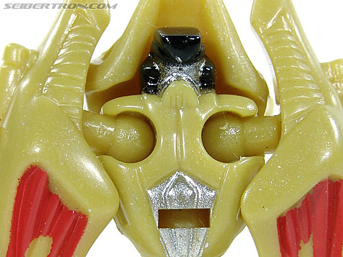 Razorclaw (Shattered Glass)