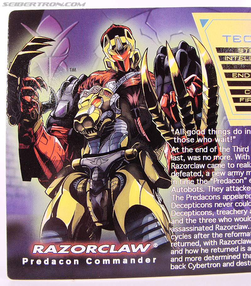 Transformers Convention &amp; Club Exclusives Razorclaw (Image #5 of 84)