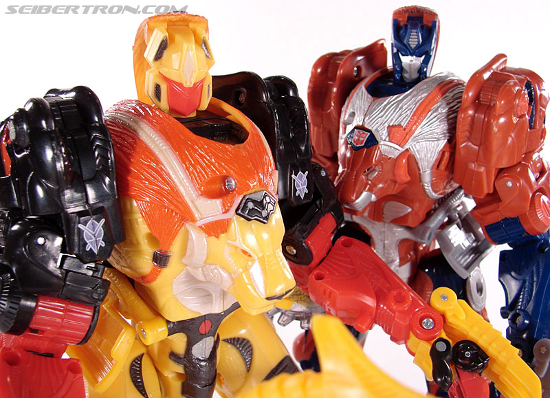 Transformers Convention &amp; Club Exclusives Razorclaw (Image #77 of 84)