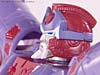 Convention & Club Exclusives Alpha Trion - Image #67 of 196