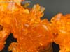 Convention & Club Exclusives Predaking (Shockwave's Lab) - Image #58 of 105