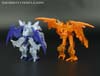 Convention & Club Exclusives Predaking (Shockwave's Lab) - Image #86 of 105