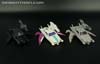 Convention & Club Exclusives Dread Pirate Crew: Wingspan Clone - Image #27 of 161