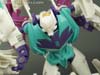 Convention & Club Exclusives Dread Pirate Crew: Wingspan Clone - Image #101 of 161