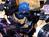 Convention & Club Exclusives Goldbug - Image #68 of 94
