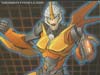 Convention & Club Exclusives Knight Flareup - Image #3 of 140