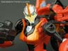 Convention & Club Exclusives Knight Flareup - Image #76 of 140