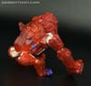 Convention & Club Exclusives Primal Prime - Image #45 of 167