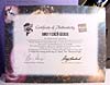 Convention & Club Exclusives Optimus Prime (Shattered Glass) - Image #35 of 116