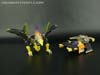 Convention & Club Exclusives Pirate Brimstone - Image #25 of 164