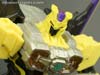 Convention & Club Exclusives Pirate Brimstone - Image #124 of 164