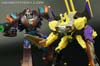 Convention & Club Exclusives Pirate Brimstone - Image #132 of 164