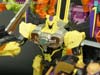 Convention & Club Exclusives Pirate Brimstone - Image #146 of 164