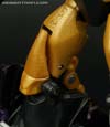 Convention & Club Exclusives Pirate Cannonball - Image #66 of 148