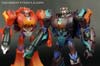Convention & Club Exclusives Pirate Hunter - Image #101 of 137