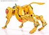 Titanium Series Cheetor - Image #34 of 97