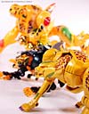 Titanium Series Cheetor - Image #56 of 97