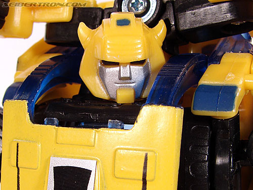 Bumblebee