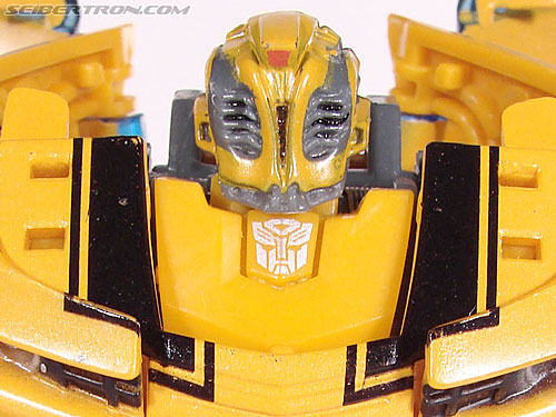 Premium Bumblebee