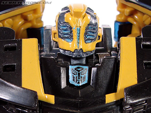 Stealth Bumblebee