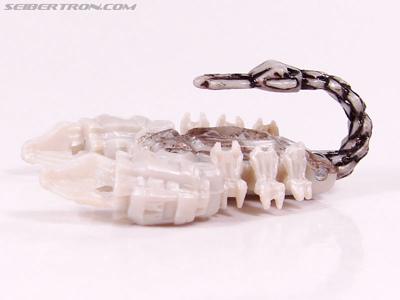 Transformers (2007) Scorponok (Image #19 of 44)