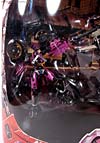 Transformers (2007) Battle Damaged Arcee - Image #2 of 72