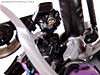 Transformers (2007) Black Arcee - Image #65 of 84