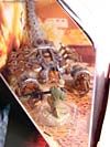 Transformers (2007) Screen Battles: Desert Attack - Image #6 of 171