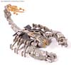 Transformers (2007) Scorponok - Image #4 of 75