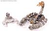 Transformers (2007) Scorponok - Image #25 of 75