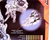 Transformers (2007) Megatron - Image #21 of 269