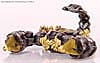 Transformers (2007) Premium Scorponok - Image #19 of 41