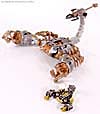 Transformers (2007) Premium Scorponok - Image #24 of 41