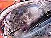Transformers (2007) Scorponok - Image #2 of 44