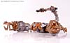 Transformers (2007) Scorponok - Image #26 of 106