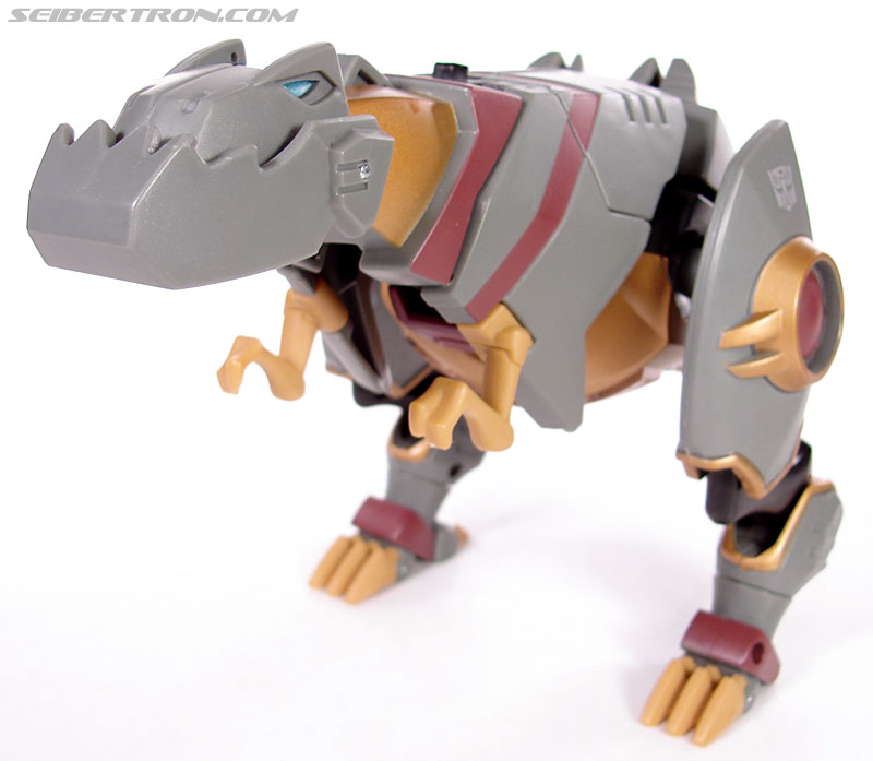 Transformers Animated Grimlock (Image #39 of 168)