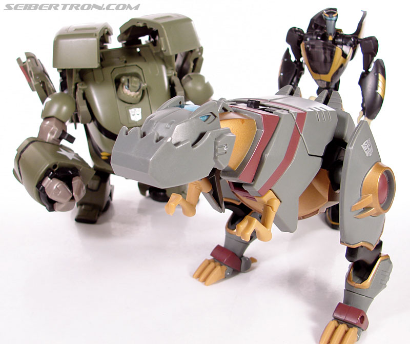 Transformers Animated Grimlock (Image #64 of 168)