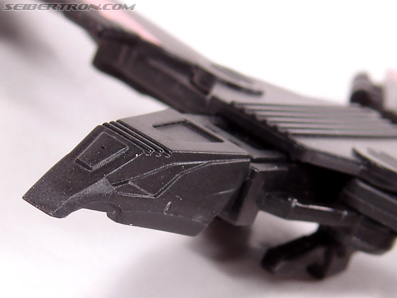 Transformers Animated Laserbeak (Image #29 of 64)