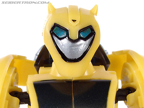 Bumblebee