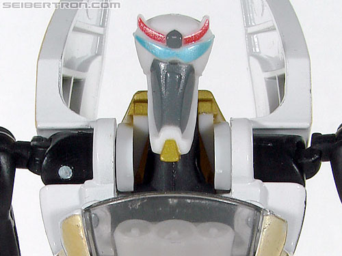 Elite Guard Prowl