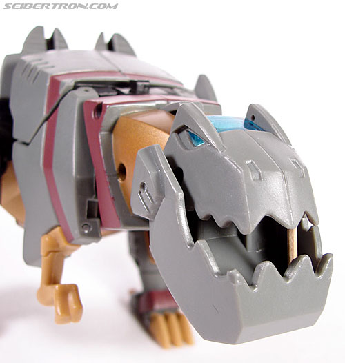 Transformers Animated Grimlock (Image #44 of 168)