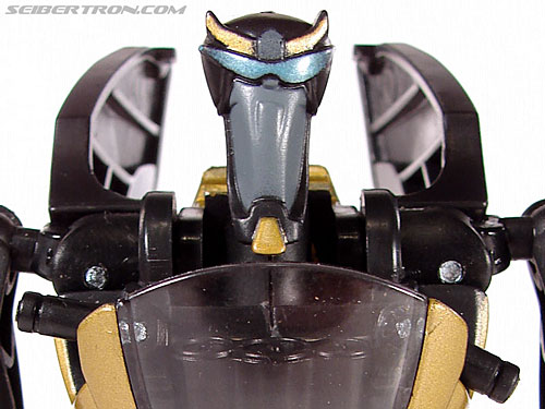 Prowl