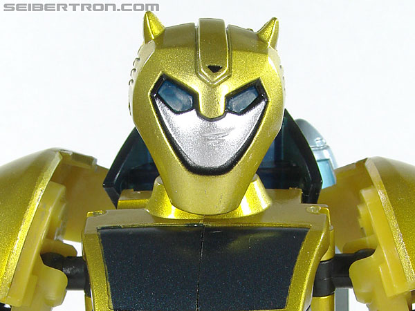 Bumblebee