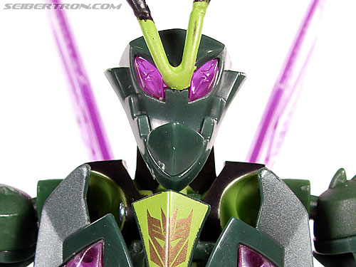 Waspinator
