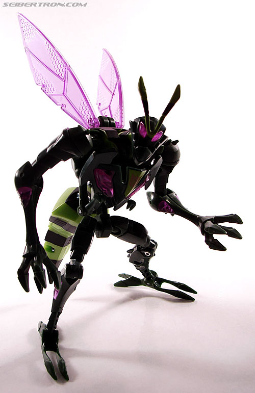 Transformers News: New Transformers Animated Galleries Online! New TFA Galleries are up!