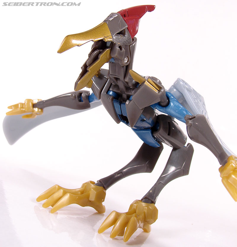 Transformers Animated Swoop (Image #37 of 98)