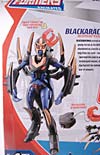 Transformers Animated Blackarachnia - Image #8 of 126