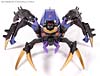 Transformers Animated Blackarachnia - Image #20 of 126